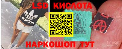 прущие крисы Краснодар
