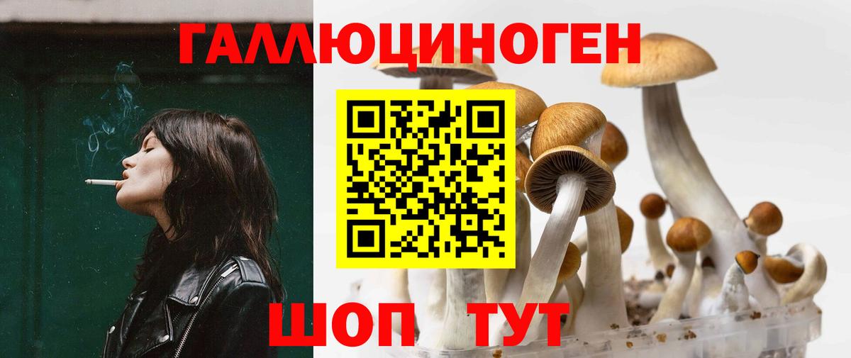 Галлюциногенные грибы MAGIC MUSHROOMS Волжск